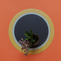 Tovaglietta rotonda colorata e originale Round Fruits Grapefruit